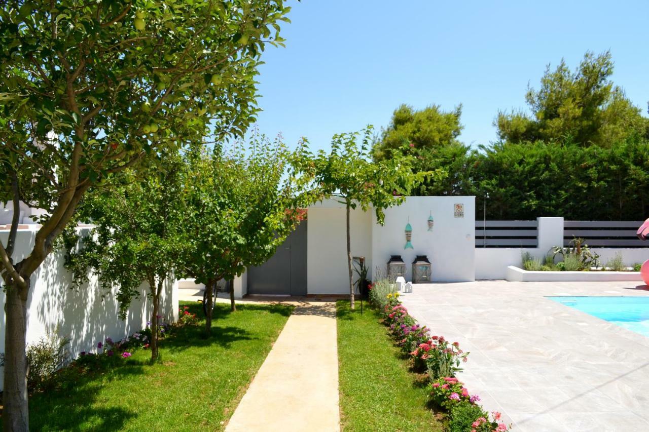 Zen Villa In 스키니아스 외부 사진