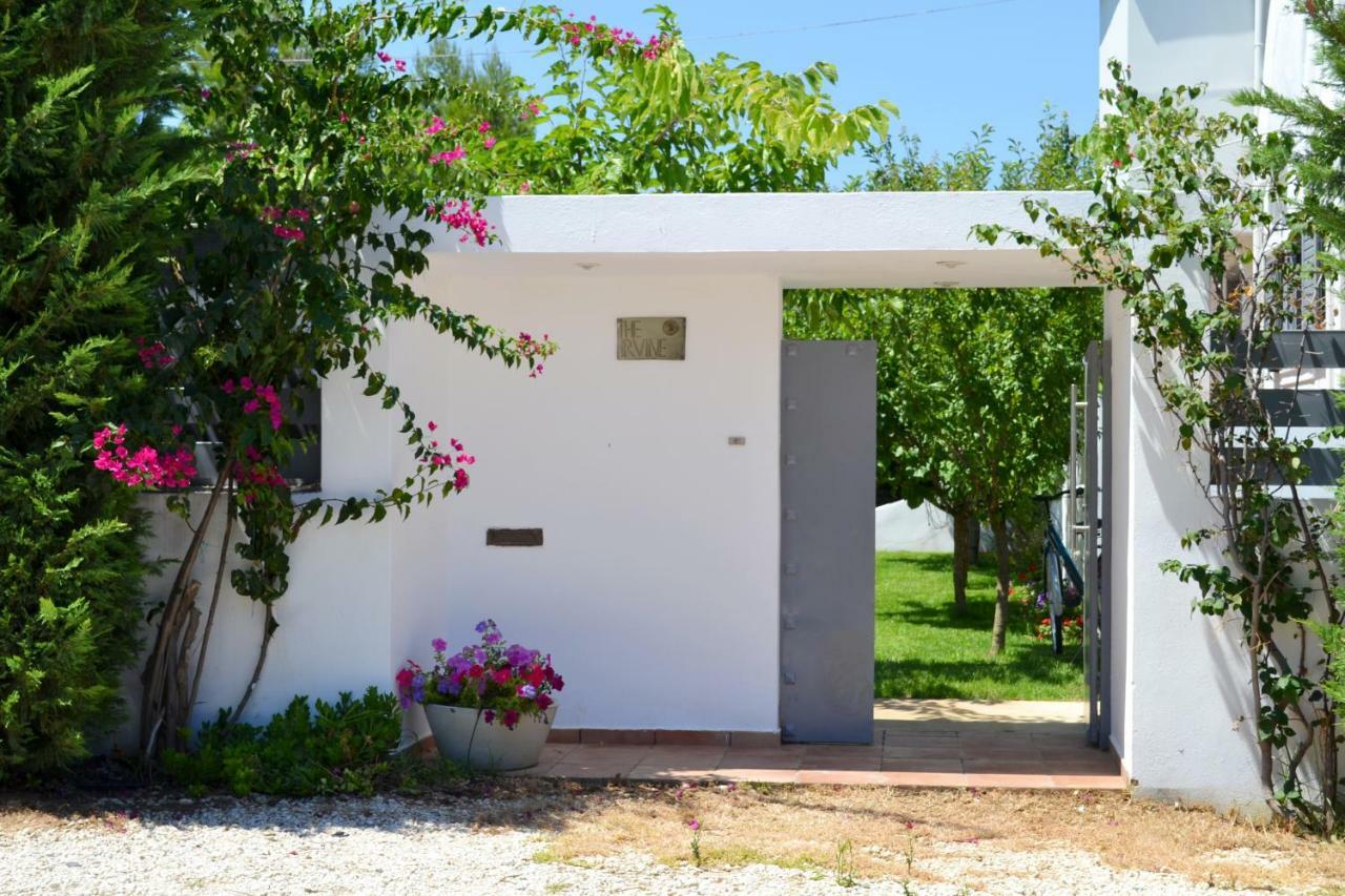 Zen Villa In 스키니아스 외부 사진