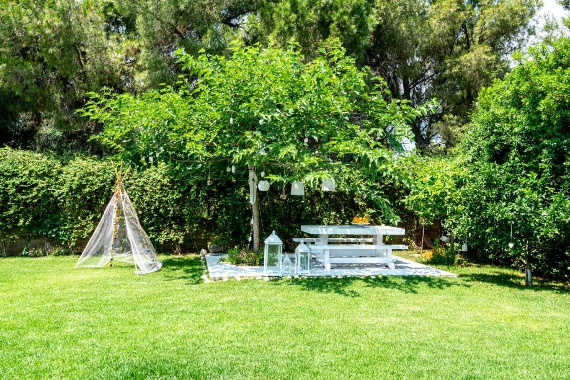 Zen Villa In 스키니아스 외부 사진