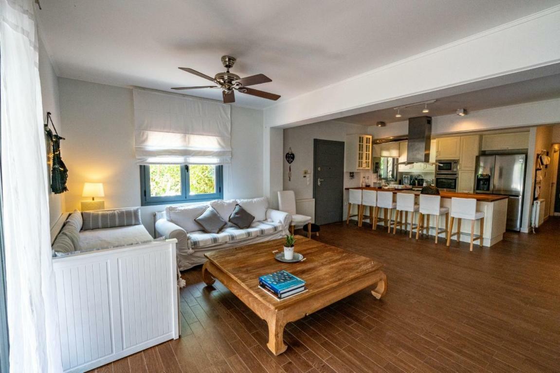 Zen Villa In 스키니아스 외부 사진