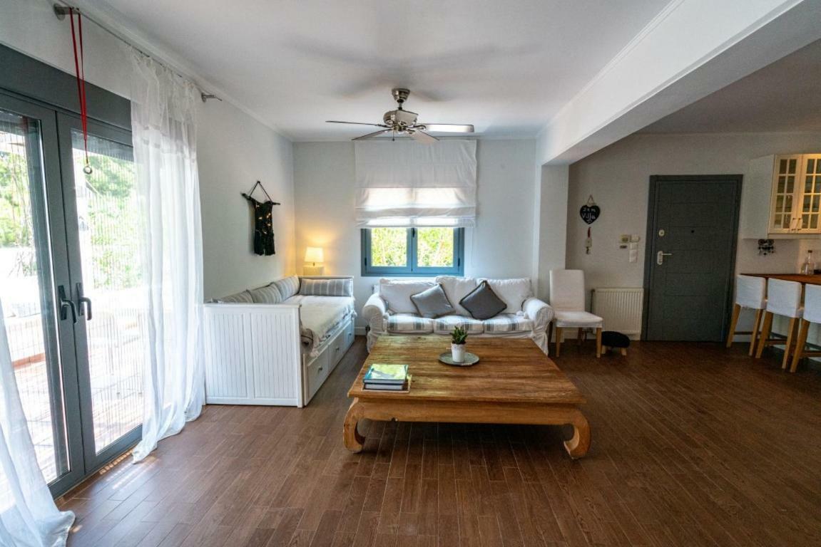 Zen Villa In 스키니아스 외부 사진