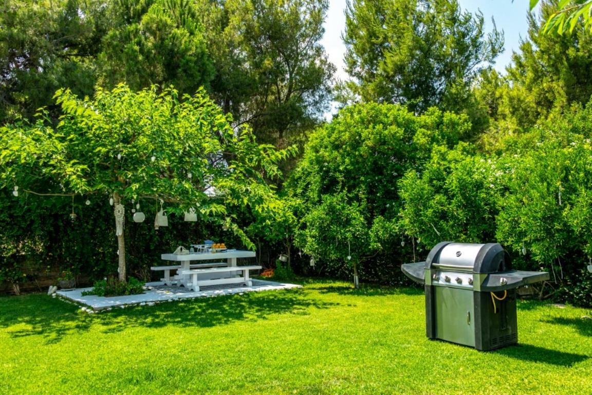 Zen Villa In 스키니아스 외부 사진